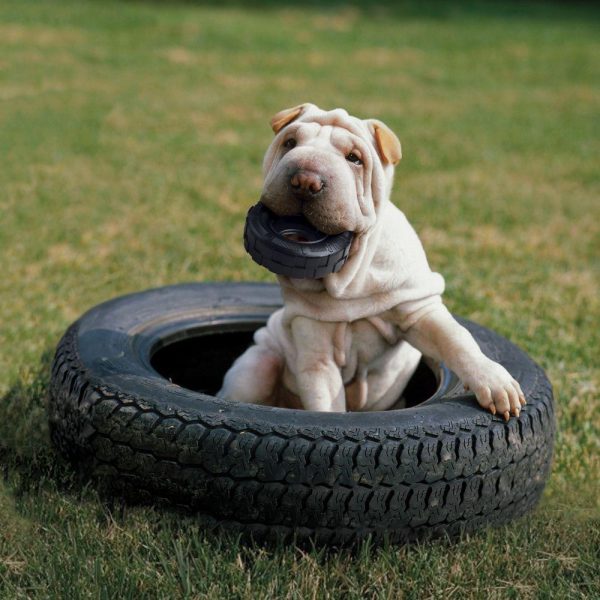 KONG Extreme Tires Dog Toy Discount - Image 2