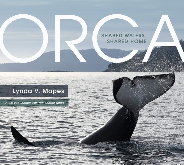 Orca: Shared Waters, Shared Home Fashion